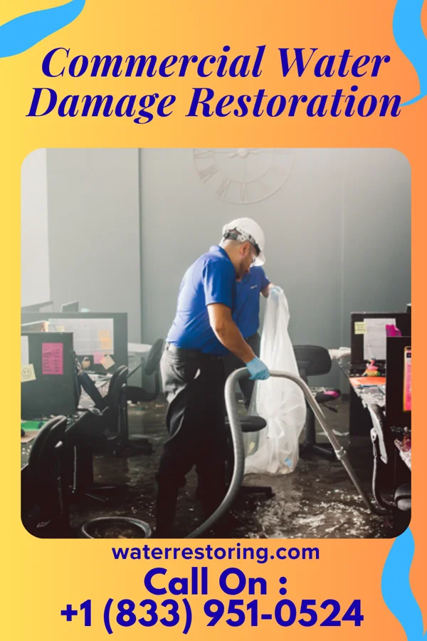 Commercial Water Damage Restoration in Trimont, MN