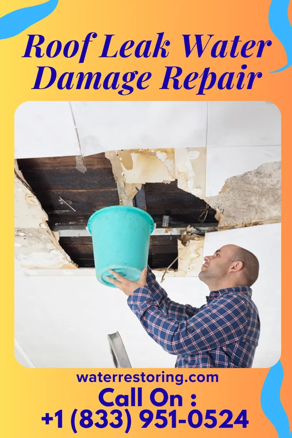 Roof Leak Water Damage Repair in Trimont, MN