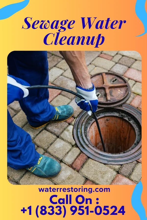 Sewage Water Cleanup in Trimont, MN